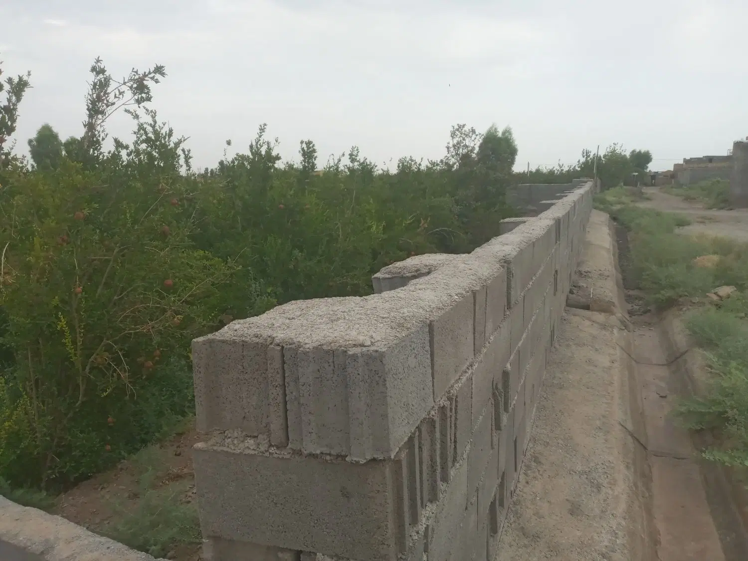 خانه باغ