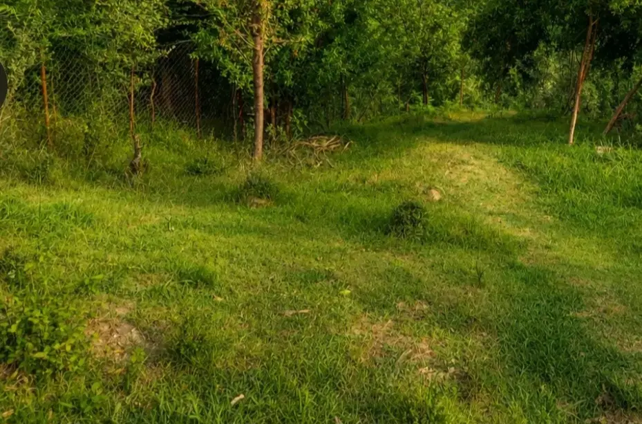 زمین ویلایی کاربری مسکونی