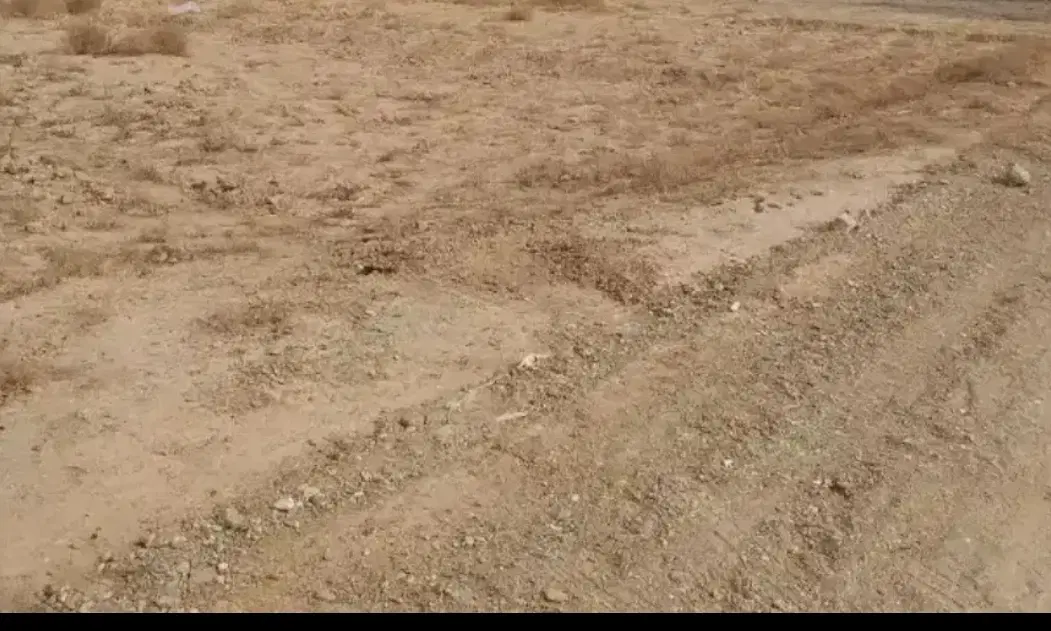 زمین ده چنار کوچه امام علی۴انتهای کوچه