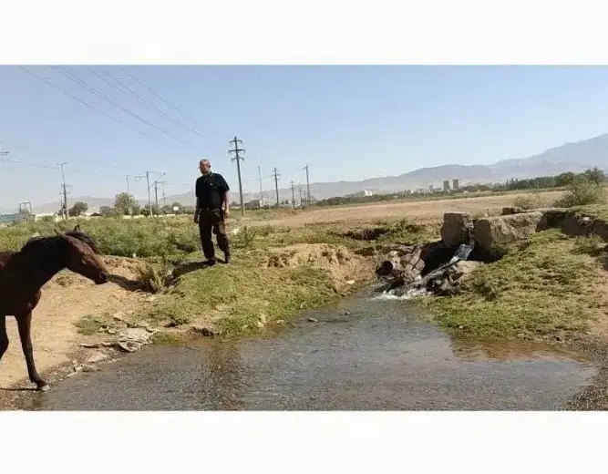 زمین در بلوار عباسی