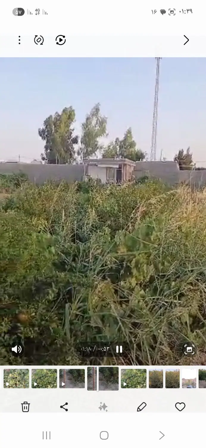 باغی برای سرمایه گذاری