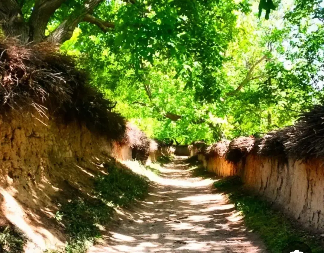 باغچه باغچه 300 متری قصردشت مناسب کافه و رستوران