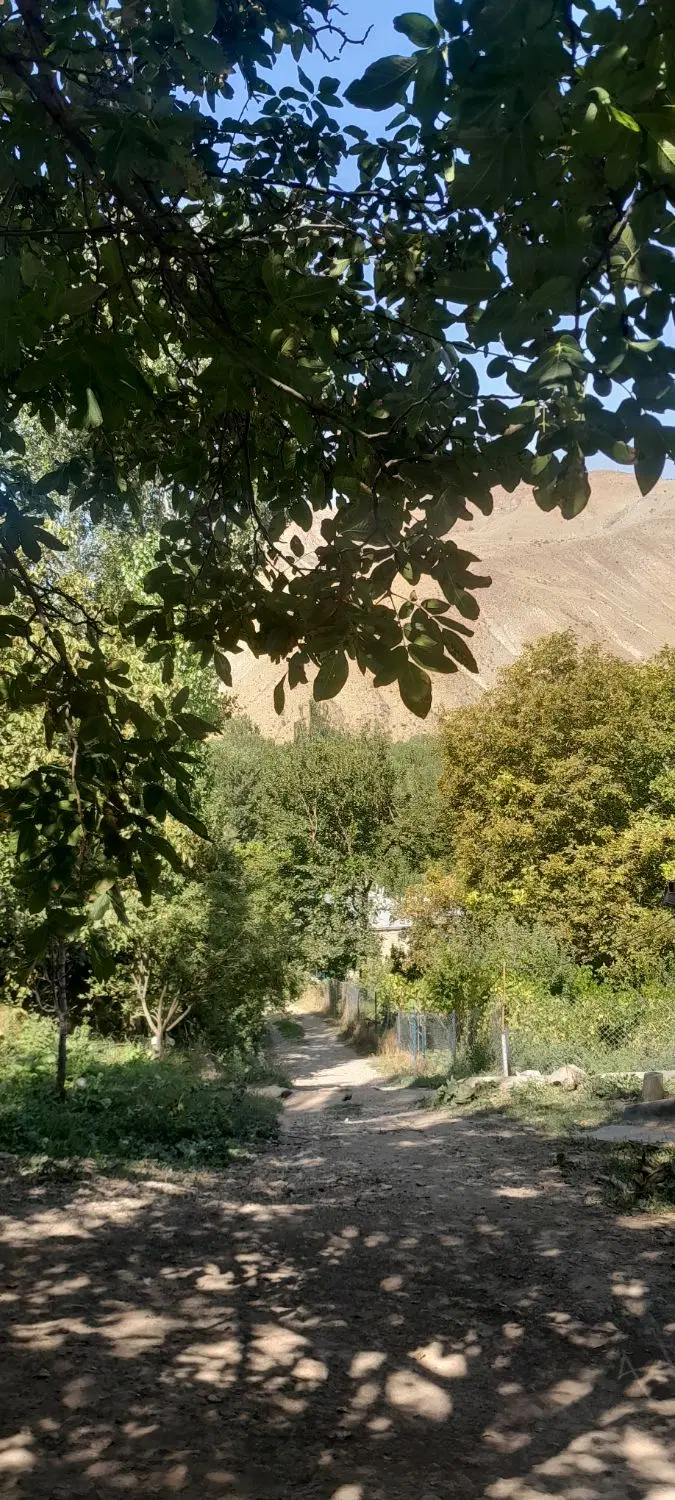 حیاط ۴۰ متری