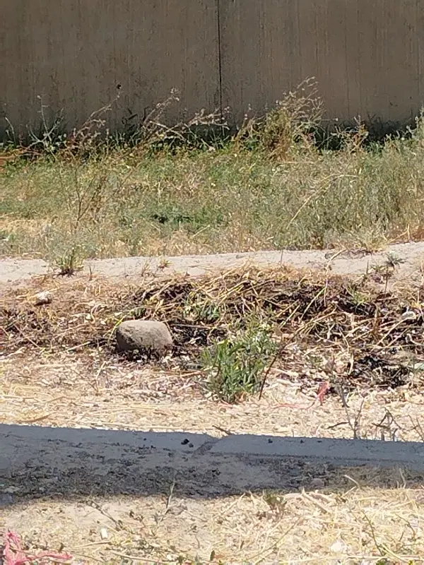 قطعه زمین مسکونی کوی نگارستان
