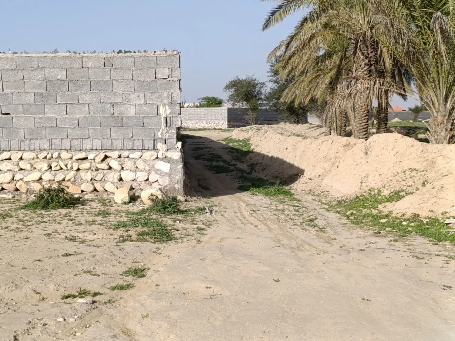 ۶۰۰ متر زمین بنه گز(چغادک،عالیشهر،گورک)