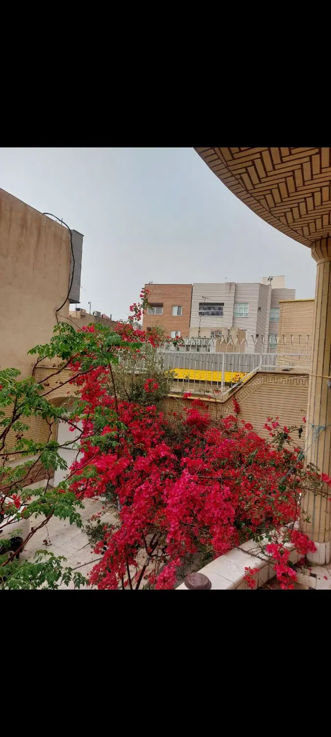 همخونه