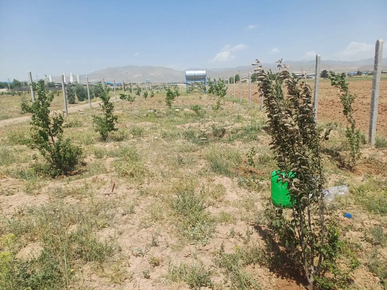 240متر زمین سند دار