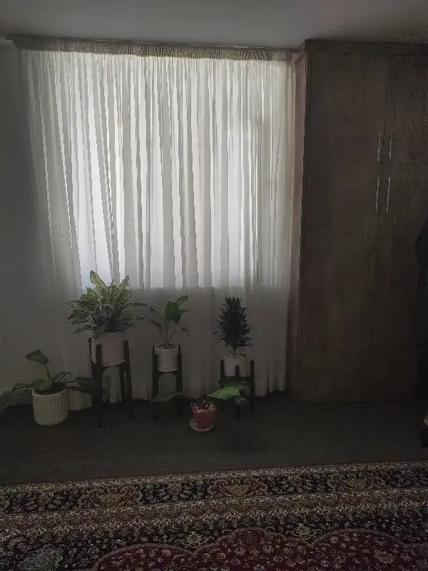 معاوضه ملک خود  گلبهار با مشهد و بالعکس