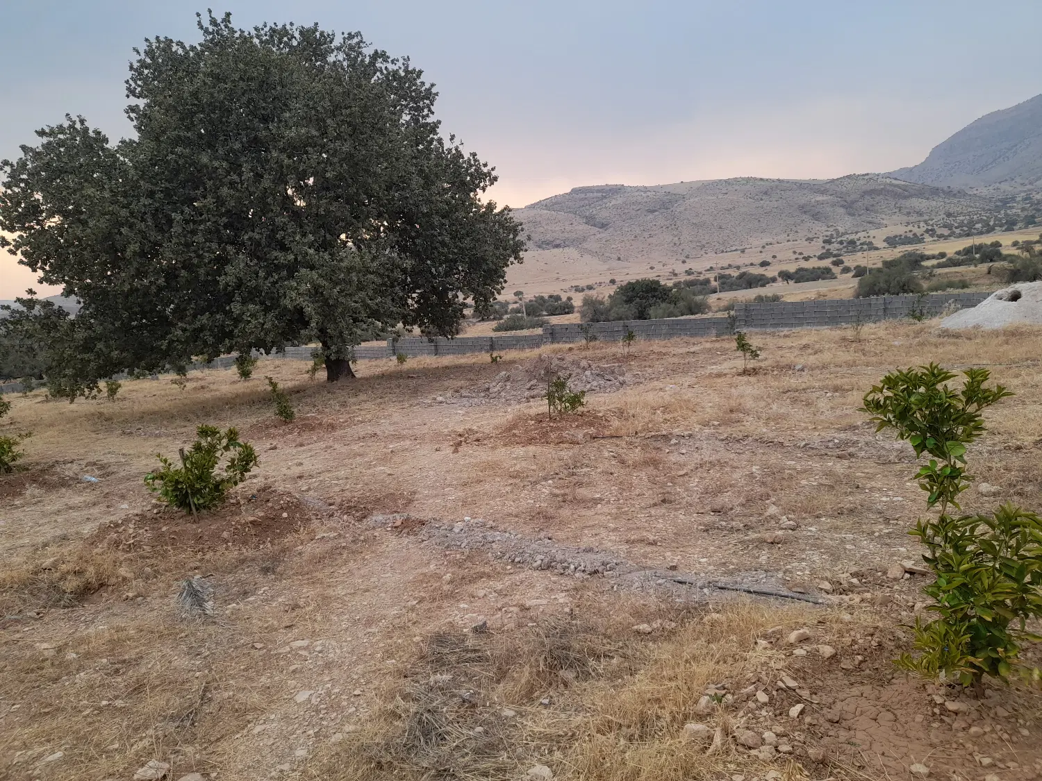 باغچه ۳ هزار متری جاده دالان عمویی
