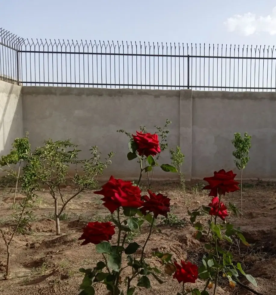 ویلا ، مکانی امن و آرام برای سکونت دایم وموقت