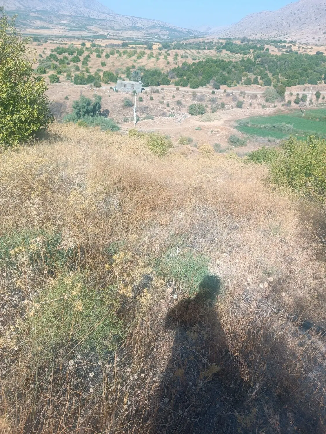 فروش زمین مسکونی دشت روم