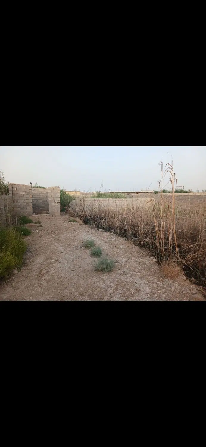 این زمین به فروش میرسد درشهرک طالقانی
