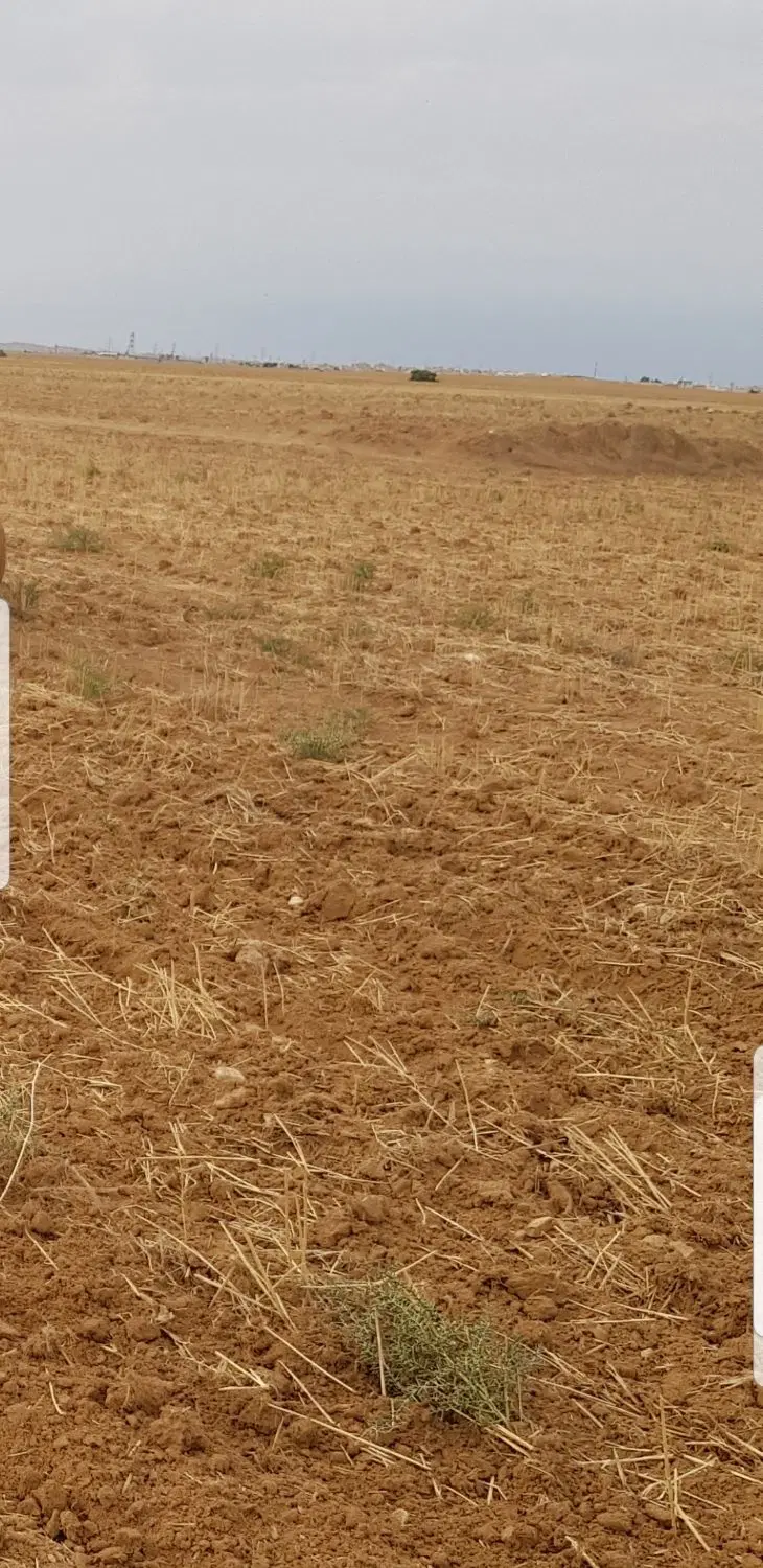 اجاره زمین کشاورزی