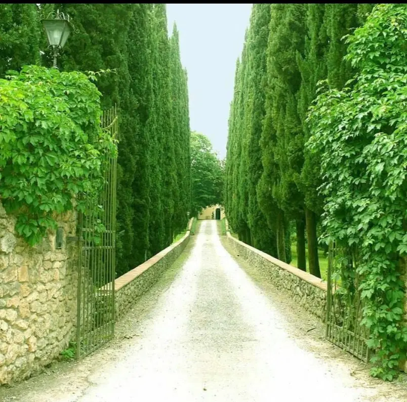 زمین اهلبیت