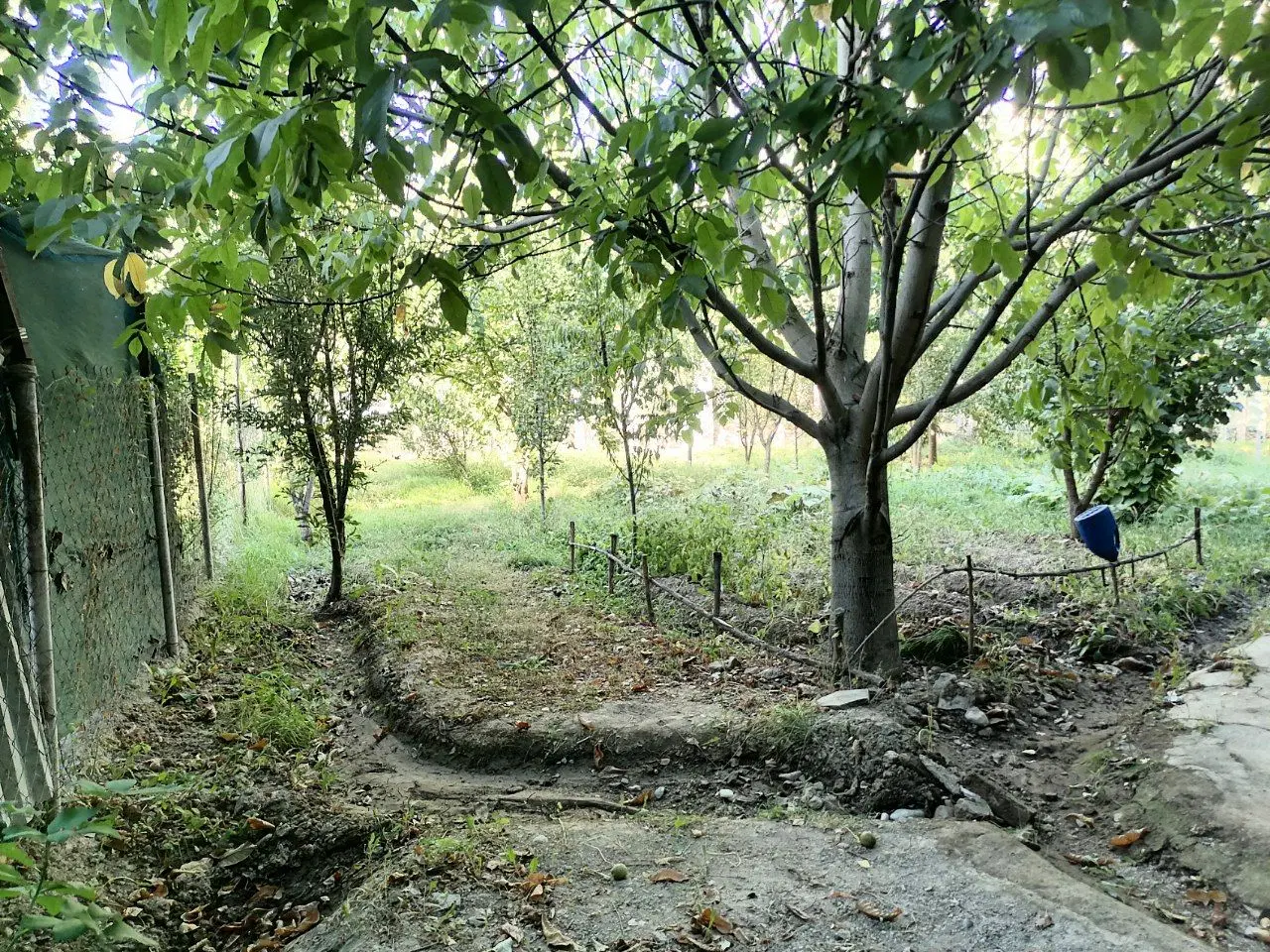 فروش باغ روستای هرانده
