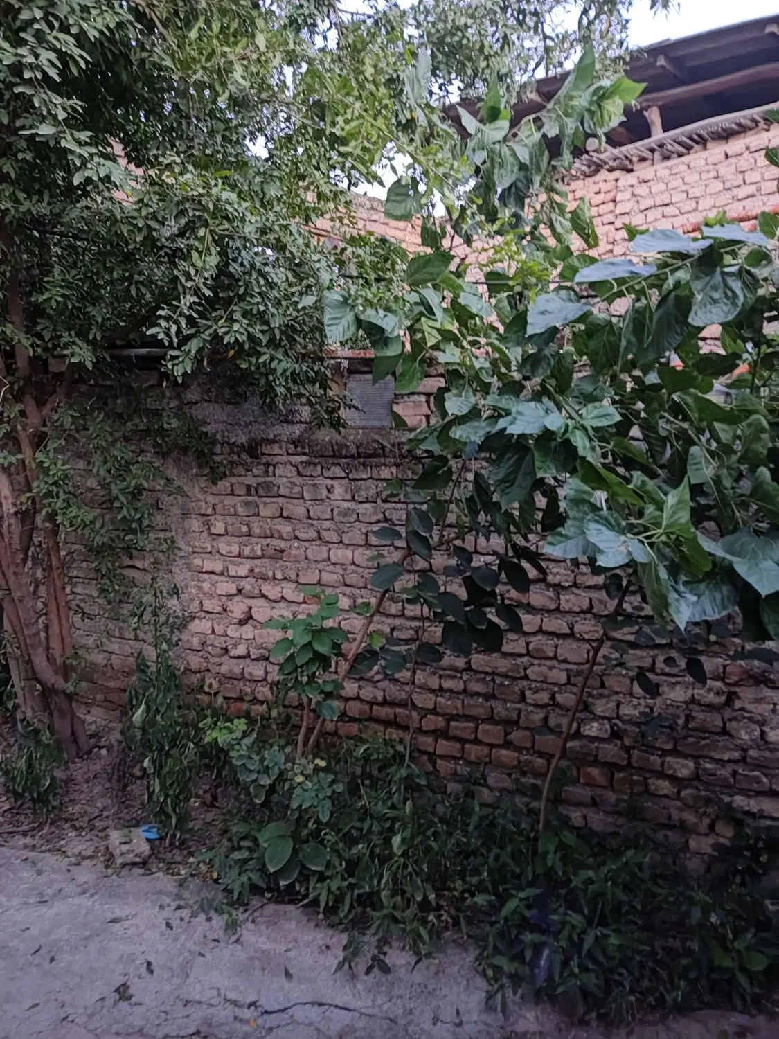 خانه ویلایی در روستا