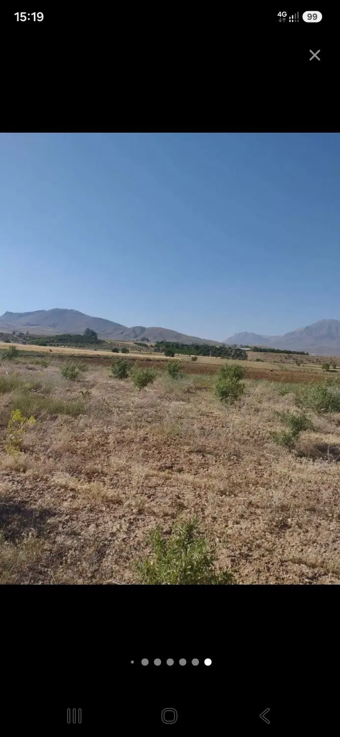 زمین کشاورزی صحرای لورک زرین شهر