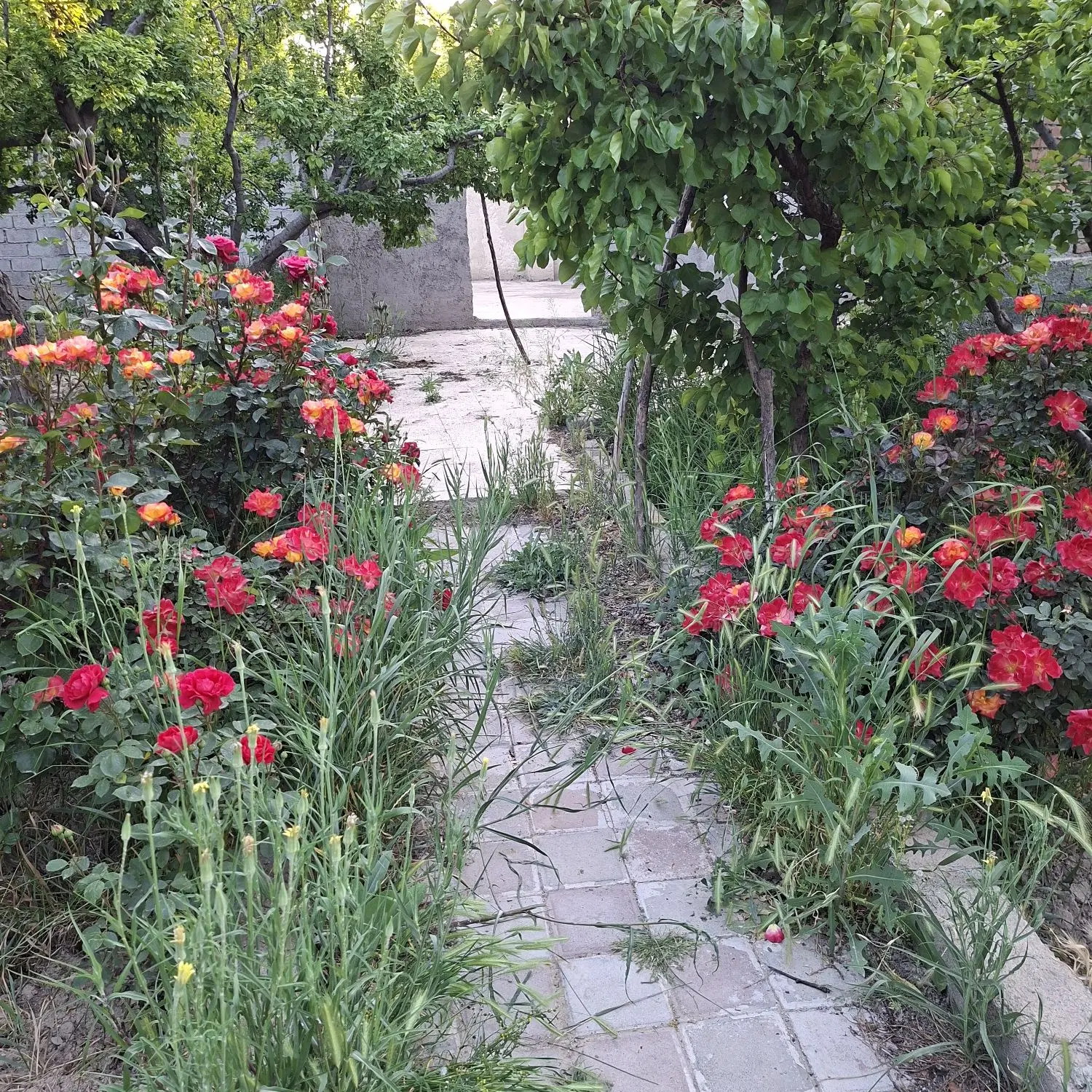 باغ و باغچه شهریار ، فردوسیه ۱۵۰۰ متری