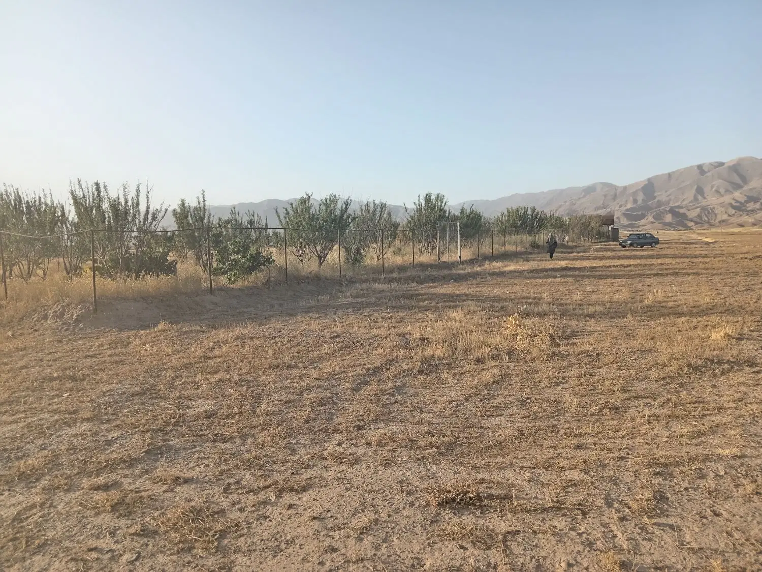 زمین 450  الی 500 متری کنار باغ