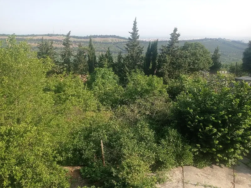 اجاره زمین کشاورزی