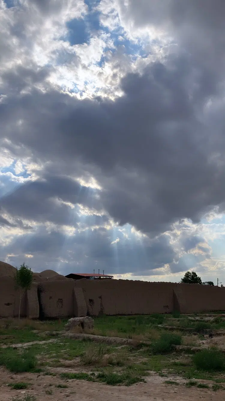 زمین