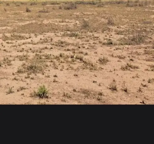۲۰۰ متر زمین سند تکبرگ