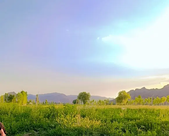 زمین زراعی و ویلا در روستای میناس