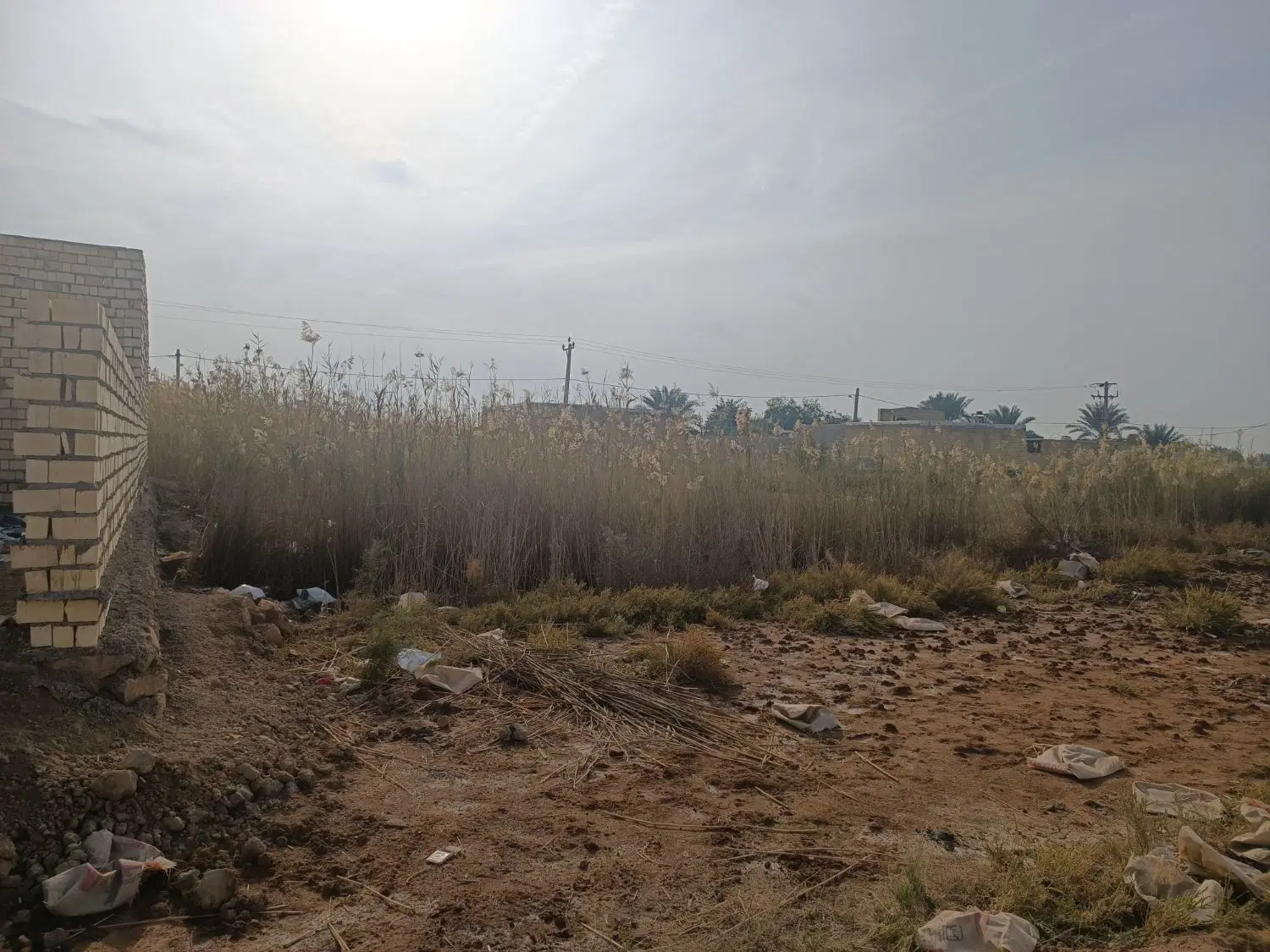 زمین کلنگی رمیله