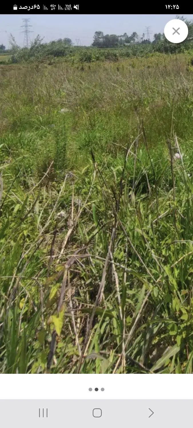 زمین خیلی خوب برای ساخت مسکونی