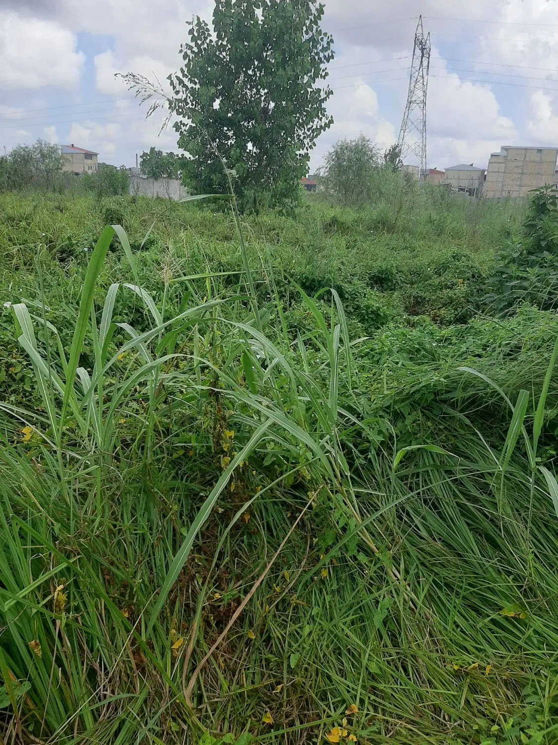 فروش زمین
