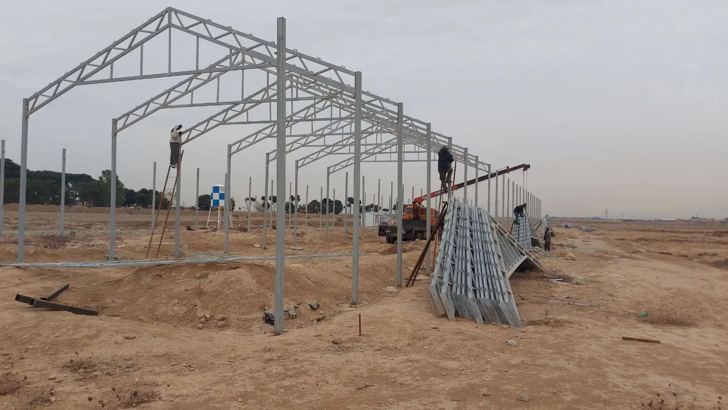 نیاز سرمایگذار سرمایه ساخت نمایشگاه گل گیاه گلخانه