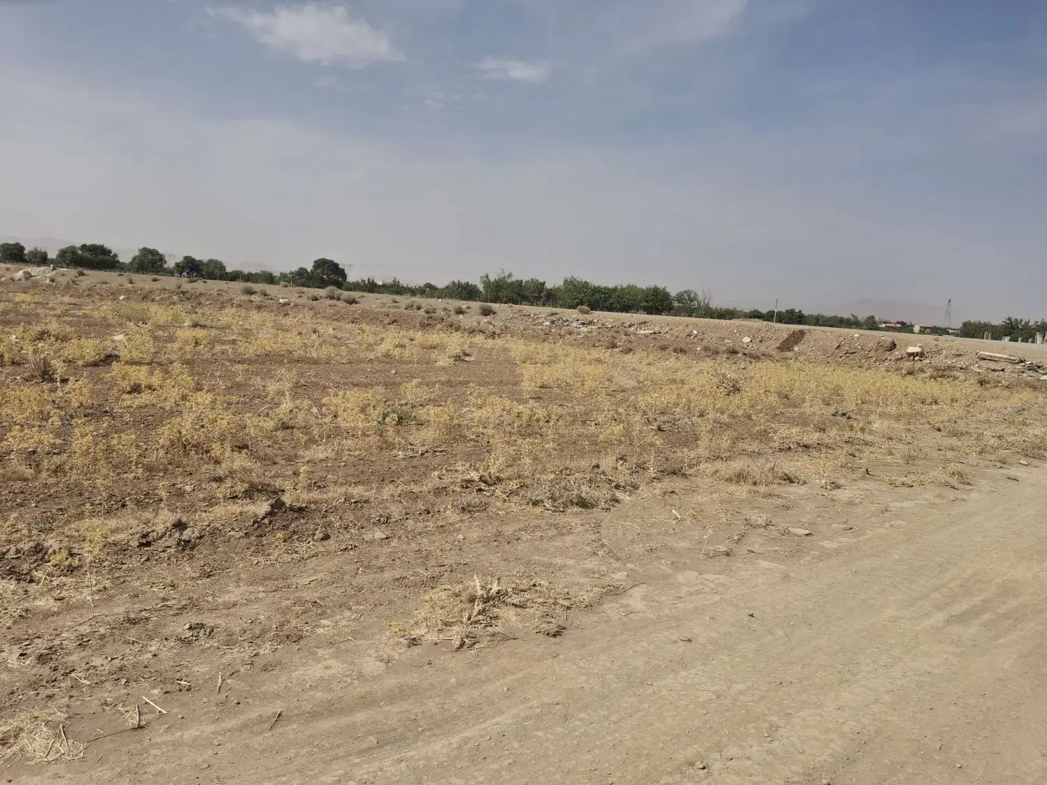 یک قطعه زمین باغی