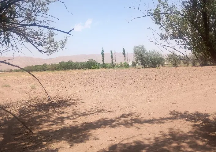 زمین کشاورزی