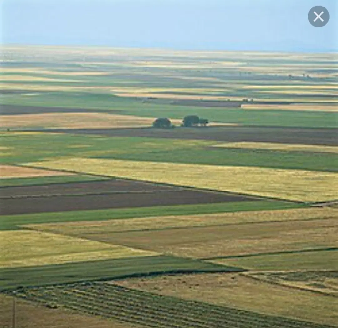 زمین کشاورزی اجاره ای