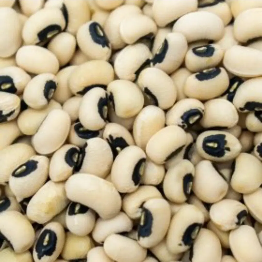 اجاره زمین کشاورزی