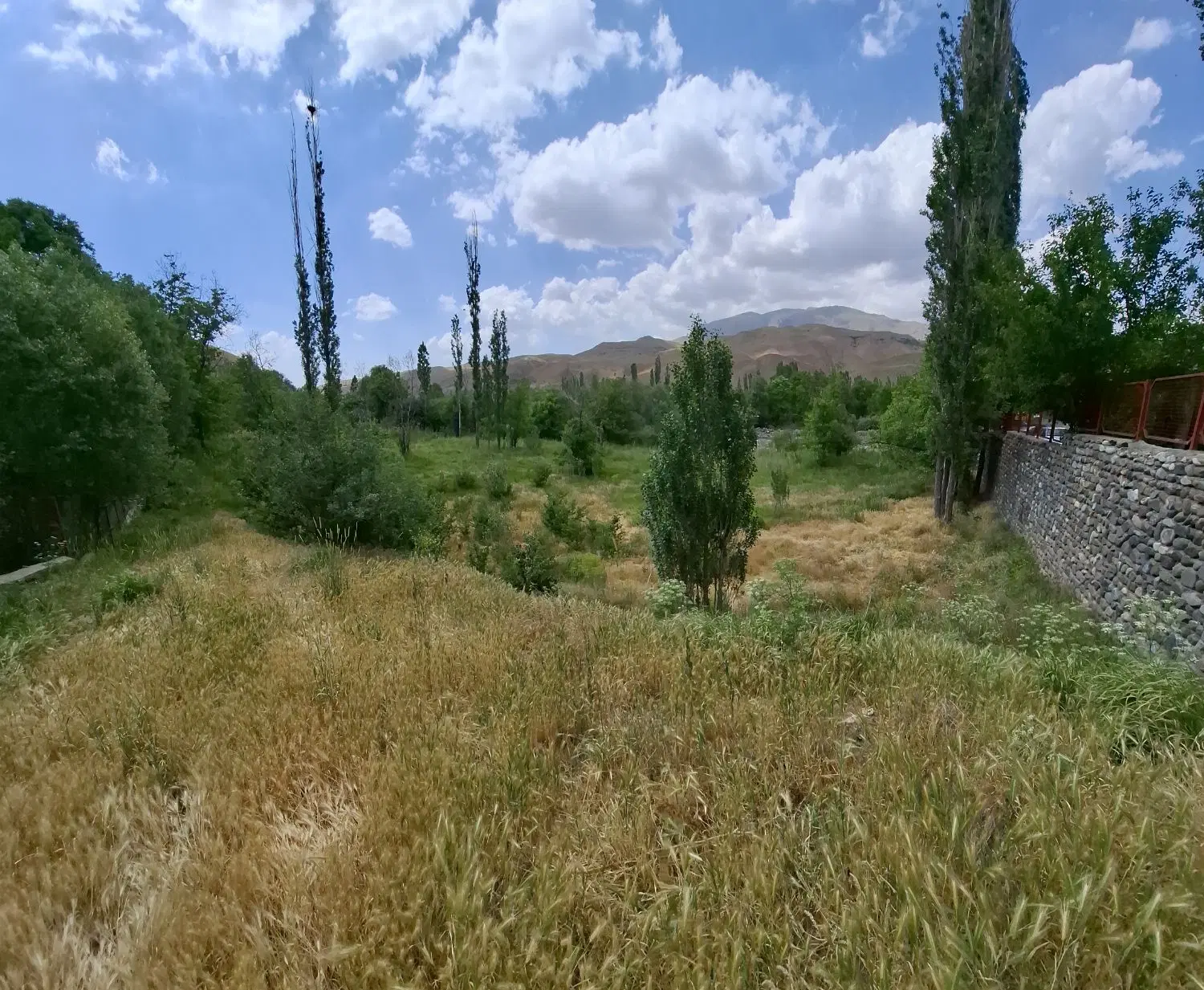 زمین با کاربری باغی در گوران طالقان