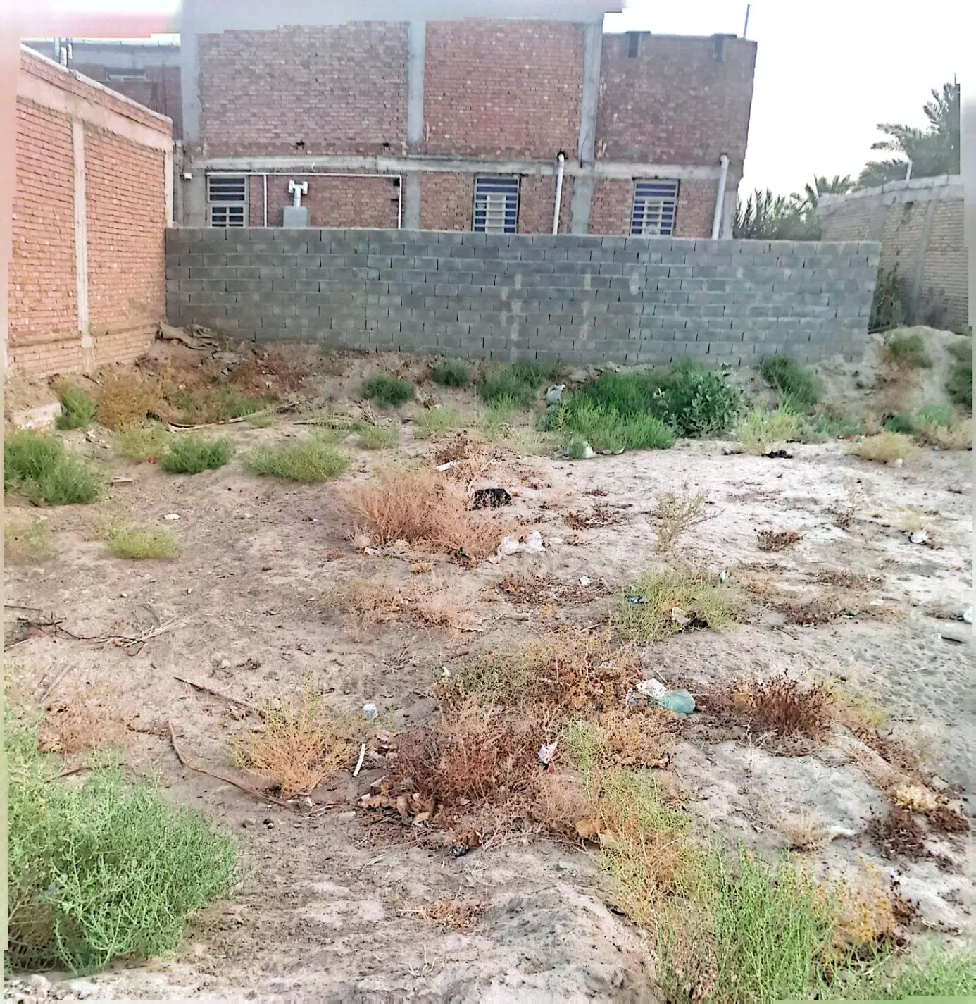 زمین مسکونی