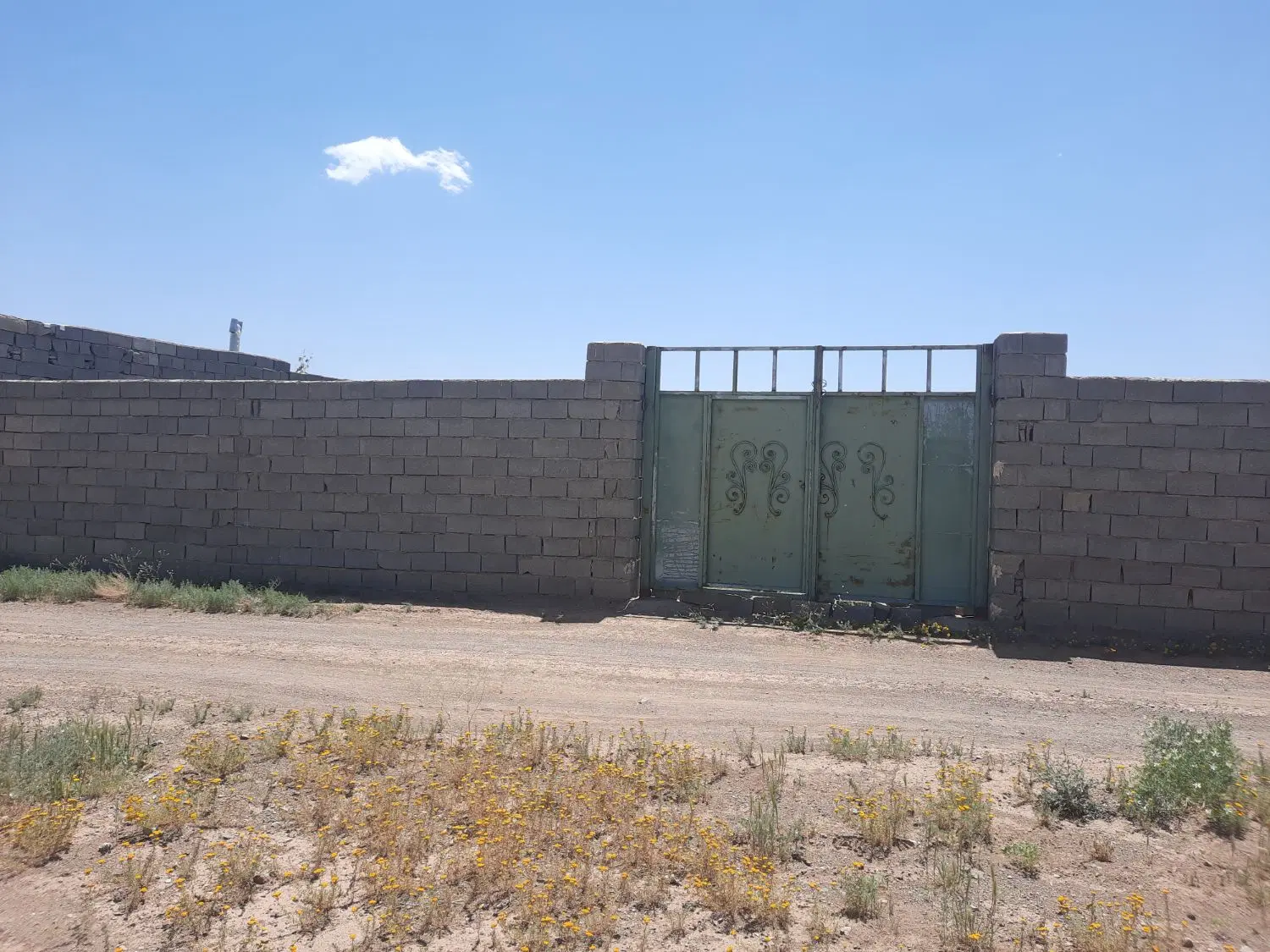 زمین باغی