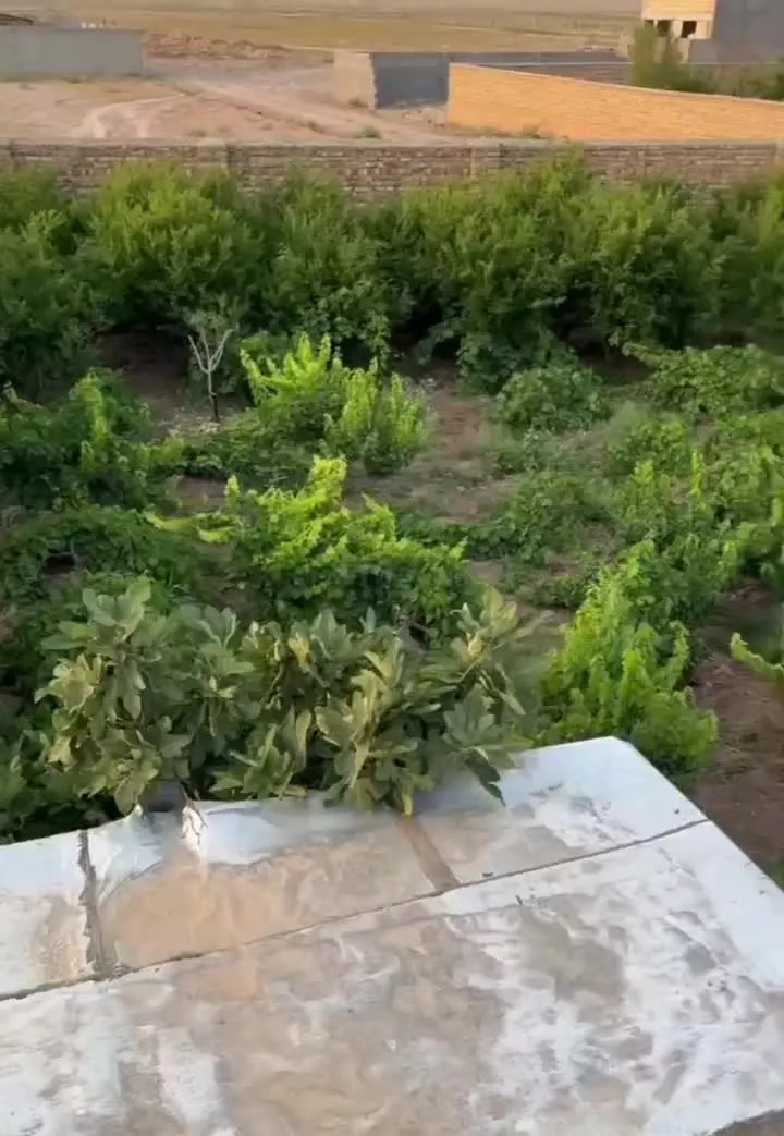 زمین ۱۹۹متری دارای مجوز ساخت و دفترچع ساخت و کنتور
