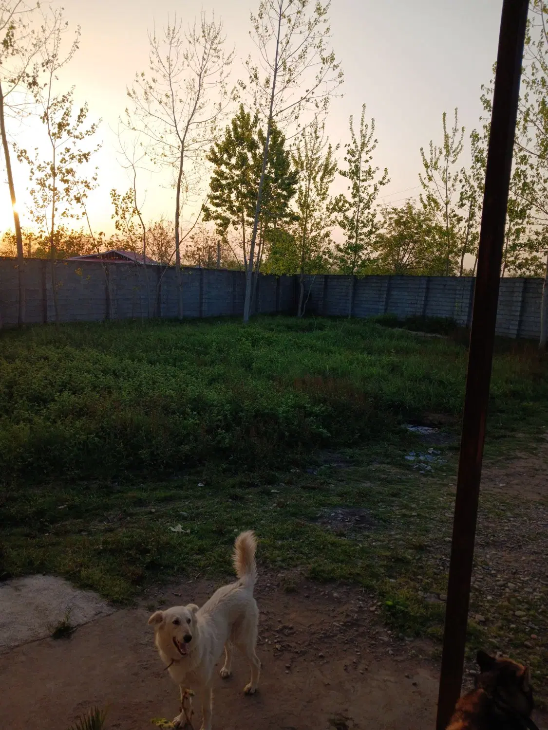 زمین مسکونی