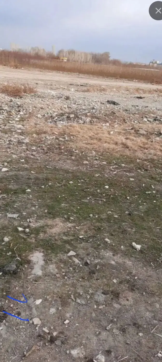 زمین در محمدشهر کوی بهار زینبیه
