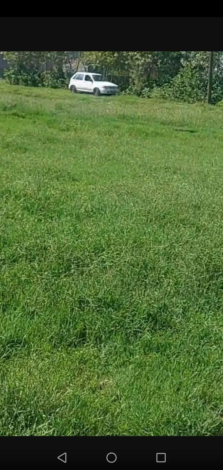 زمین داخل طرح هادی(مناسب باغچه)
