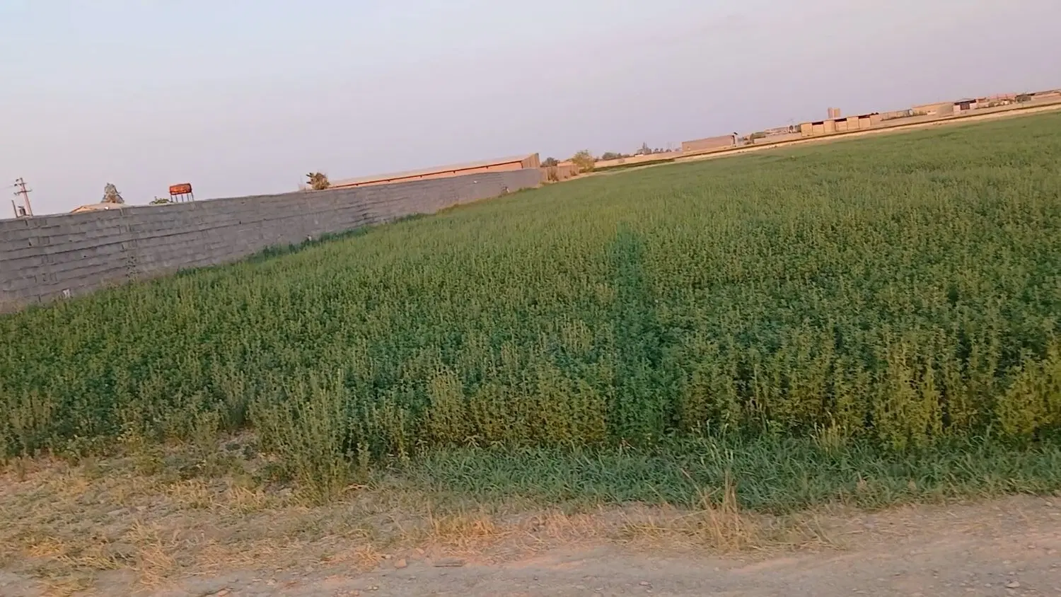 زمین بهر جاده فراهان