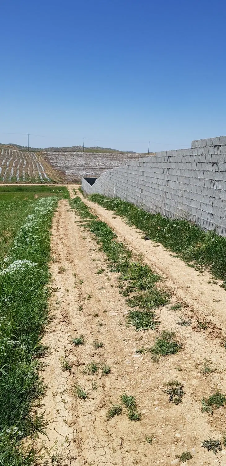 ۲۰۰۰متر همایجان رودبال