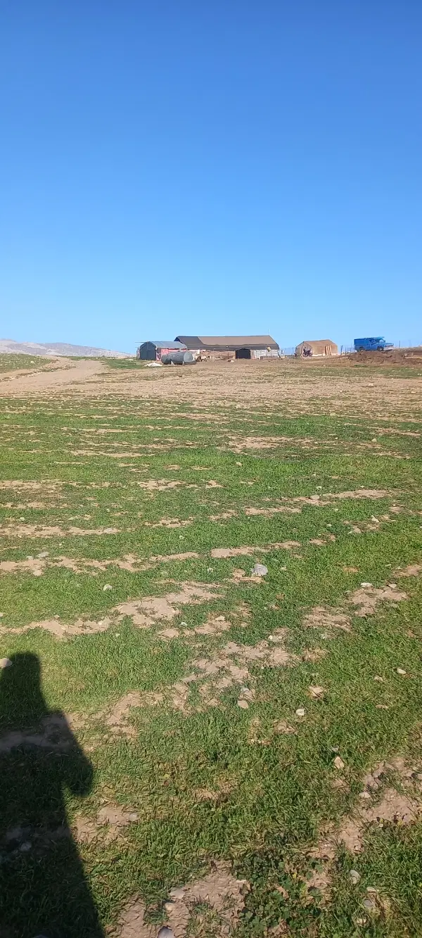 زمین چنگوله