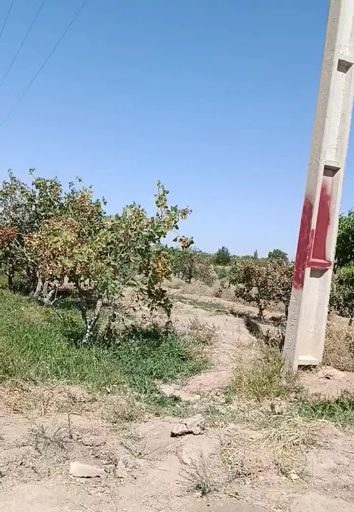 باغ