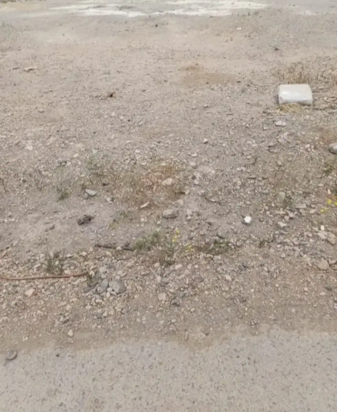 زمین مسکونی شهرک خواجو