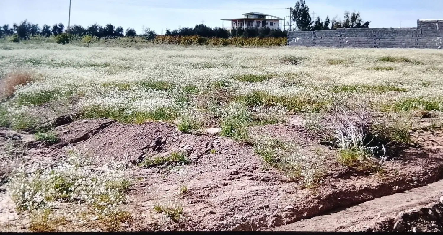 زمین ۲۰۰۰متری وآب وسند معاوضه باماشین مدل بالا