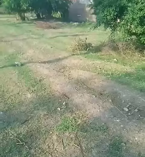 زمین داخل بافت عباس آباد