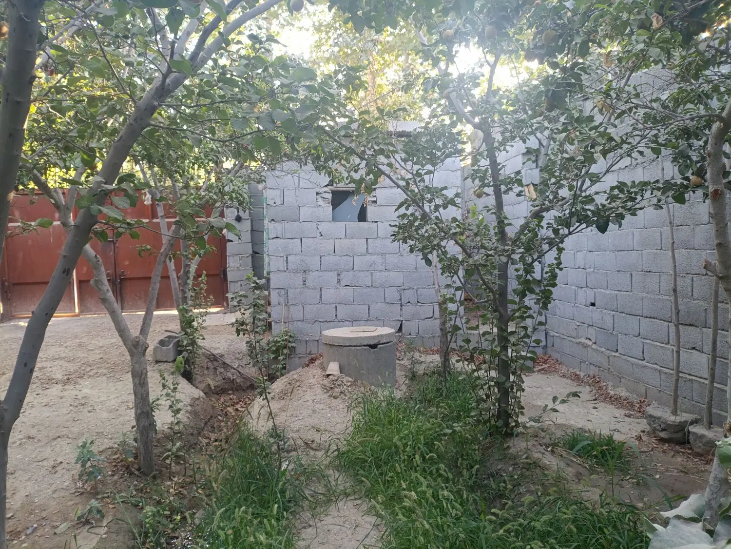 فروش باغ